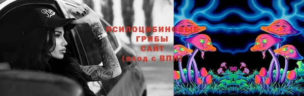 прущие грибы Верхнеуральск