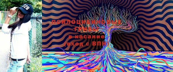прущие грибы Верхнеуральск
