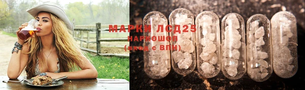 прущие грибы Верхнеуральск